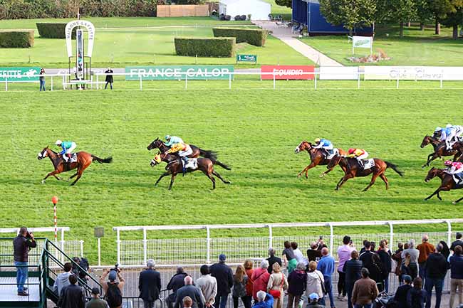 Photo d'arrivée de la course pmu PRIX DE MAURIES à MAISONS-LAFFITTE le Samedi 12 octobre 2019