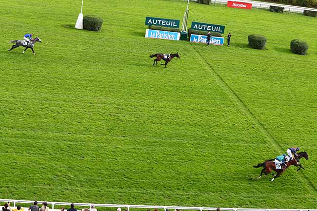 Photo d'arrivée de la course pmu PRIX PAUL'S CRAY à AUTEUIL le Dimanche 13 octobre 2019