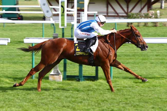 Photo d'arrivée de la course pmu PRIX DE BLERANCOURT à COMPIEGNE le Lundi 14 octobre 2019