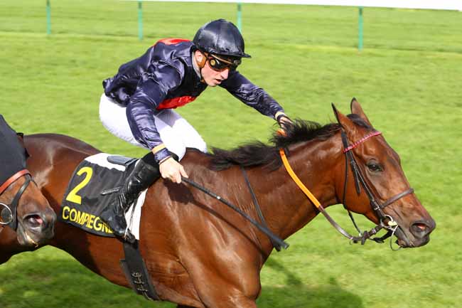 Photo d'arrivée de la course pmu PRIX DES RUINES DE CHAMPLIEU à COMPIEGNE le Lundi 14 octobre 2019