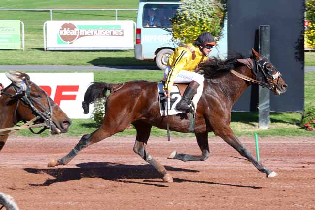 Photo d'arrivée de la course pmu PRIX DE LA VILLE DE FEURS à FEURS le Mercredi 16 octobre 2019