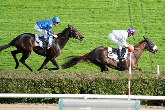 Photo d'arrivée de la course pmu PRIX BARQUETTE à SAINT-CLOUD le Mercredi 16 octobre 2019