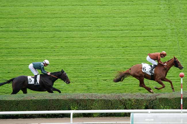 Photo d'arrivée de la course pmu PRIX BANASSA à SAINT-CLOUD le Mercredi 16 octobre 2019
