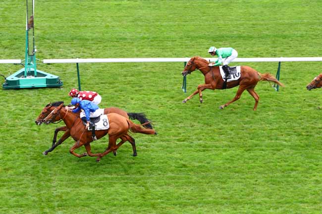 Photo d'arrivée de la course pmu PRIX DE LA CHAPELLE à LONGCHAMP le Jeudi 17 octobre 2019