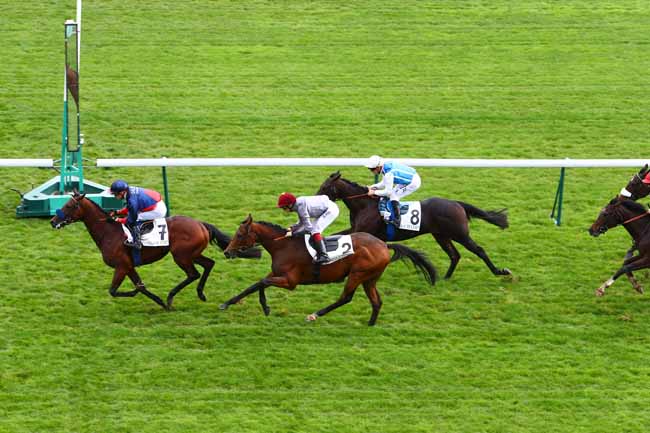 Photo d'arrivée de la course pmu PRIX DE BELLEVILLE à LONGCHAMP le Jeudi 17 octobre 2019