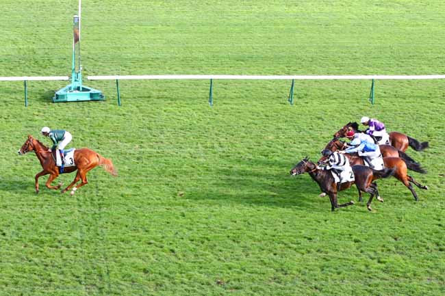 Photo d'arrivée de la course pmu PRIX DE LA ROSERAIE à LONGCHAMP le Jeudi 17 octobre 2019