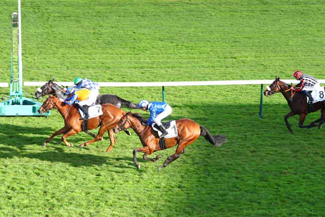Photo d'arrivée de la course pmu PRIX DE LA BARRIERE DU TRONE à LONGCHAMP le Jeudi 17 octobre 2019