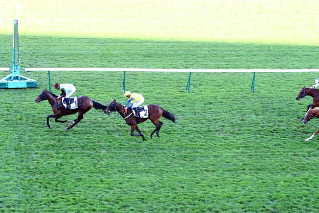 Photo d'arrivée de la course pmu PRIX DE L'OBSERVATOIRE à LONGCHAMP le Jeudi 17 octobre 2019