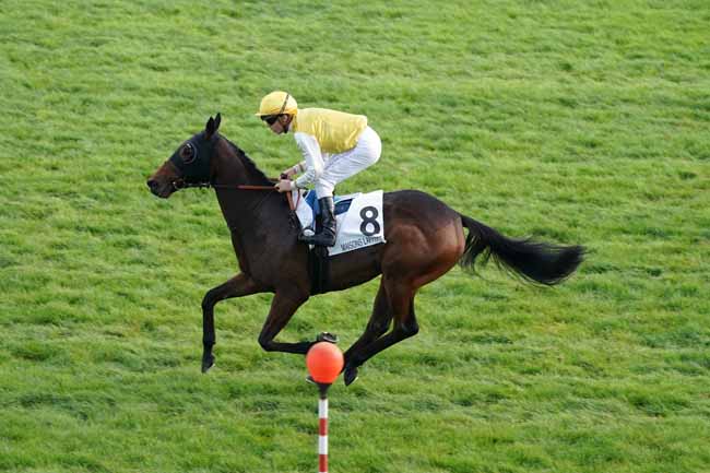 Photo d'arrivée de la course pmu PRIX DE CHAPET à MAISONS-LAFFITTE le Vendredi 18 octobre 2019