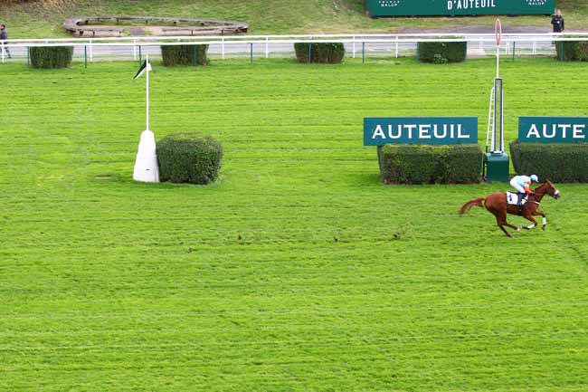 Photo d'arrivée de la course pmu PRIX DUC D'ALBURQUERQUE à AUTEUIL le Samedi 19 octobre 2019