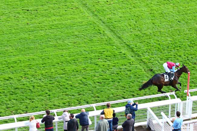 Photo d'arrivée de la course pmu PRIX PIERRE DE LASSUS à AUTEUIL le Samedi 19 octobre 2019