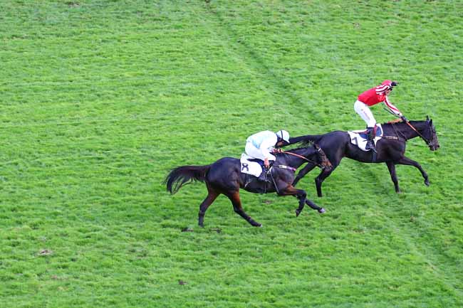 Photo d'arrivée de la course pmu PRIX MONTGOMERY à AUTEUIL le Samedi 19 octobre 2019