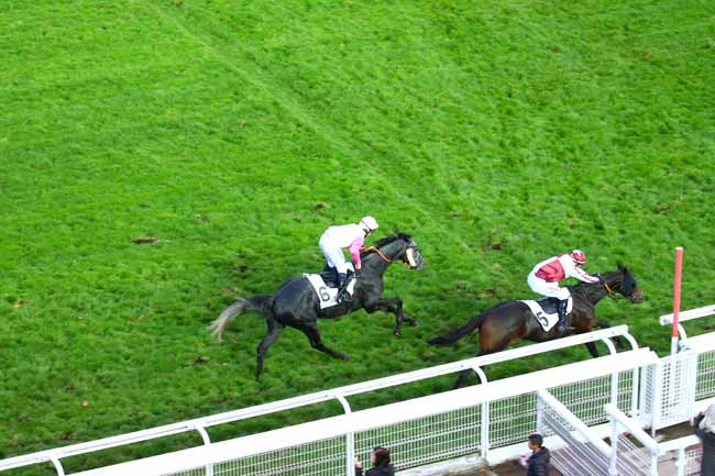 Photo d'arrivée de la course pmu PRIX ROGER SOULANGE-BODIN à AUTEUIL le Samedi 19 octobre 2019