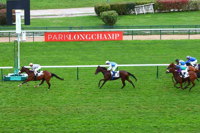 Photo d'arrivée de la course pmu PRIX DE LA FAISANDERIE à LONGCHAMP le Dimanche 20 octobre 2019