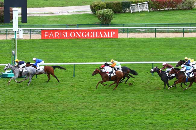 Photo d'arrivée de la course pmu PRIX DE SAINT-CYR à LONGCHAMP le Dimanche 20 octobre 2019