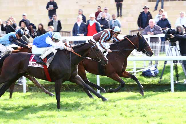 Photo d'arrivée de la course pmu PRIX DU BOTTEY à CLAIREFONTAINE le Lundi 21 octobre 2019
