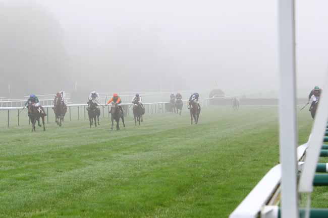 Photo d'arrivée de la course pmu PRIX DE NOGENT à COMPIEGNE le Mardi 22 octobre 2019