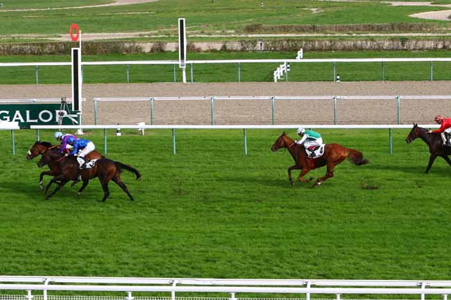 Photo d'arrivée de la course pmu PRIX DE KILDARE à DEAUVILLE le Mercredi 23 octobre 2019