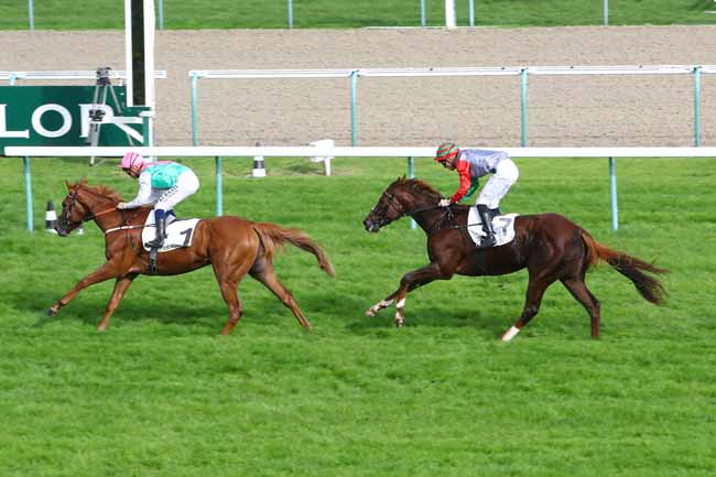 Photo d'arrivée de la course pmu PRIX DES RESERVOIRS à DEAUVILLE le Mercredi 23 octobre 2019