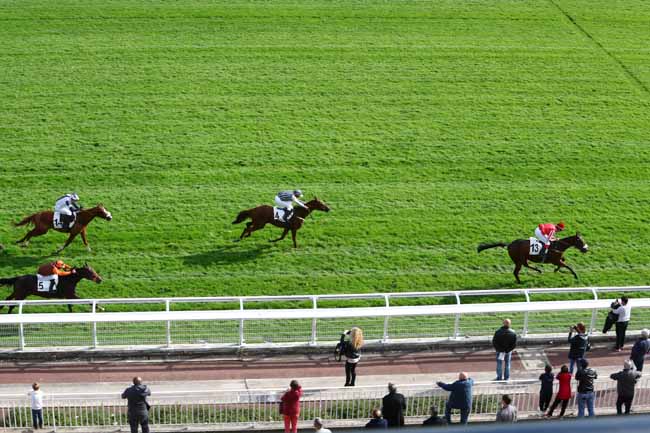 Photo d'arrivée de la course pmu PRIX SANTO PIETRO à AUTEUIL le Jeudi 24 octobre 2019