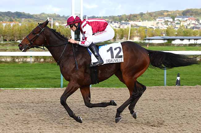 Photo d'arrivée de la course pmu PRIX DE LA FORET D'EAWY à DEAUVILLE le Jeudi 24 octobre 2019