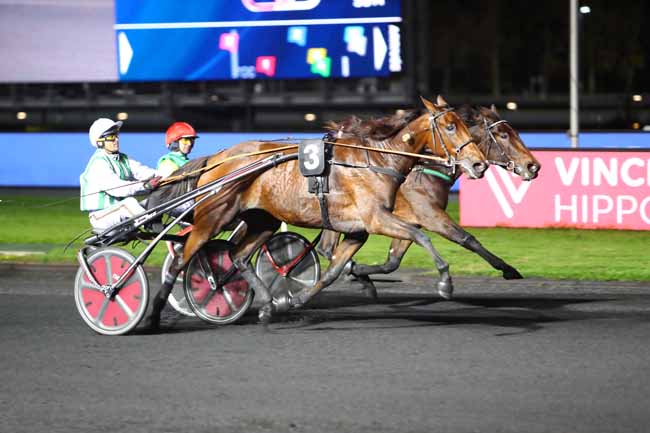 Photo d'arrivée de la course pmu PRIX PIERRE VAN TROYEN à PARIS-VINCENNES le Vendredi 25 octobre 2019