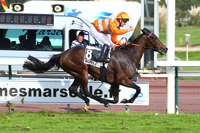 Photo d'arrivée de la course pmu HANDICAP DE MARSEILLE à MARSEILLE-BORELY le Lundi 28 octobre 2019