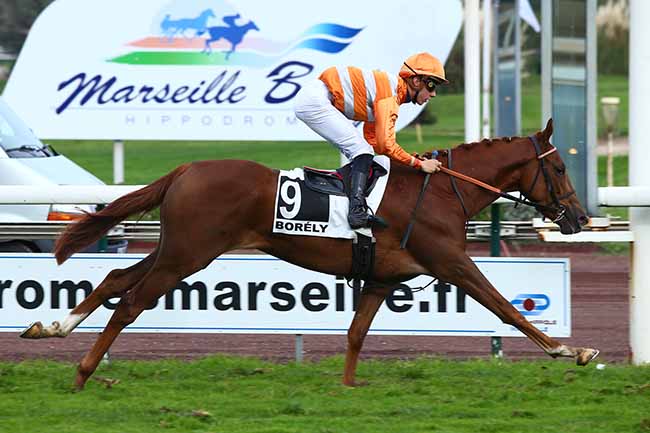 Photo d'arrivée de la course pmu PRIX INDIA SONG à MARSEILLE-BORELY le Lundi 28 octobre 2019
