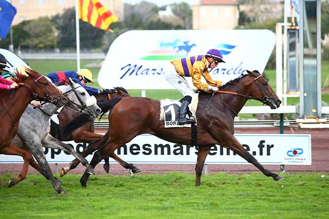 Photo d'arrivée de la course pmu PRIX GYPTIS ET PROTIS à MARSEILLE-BORELY le Lundi 28 octobre 2019