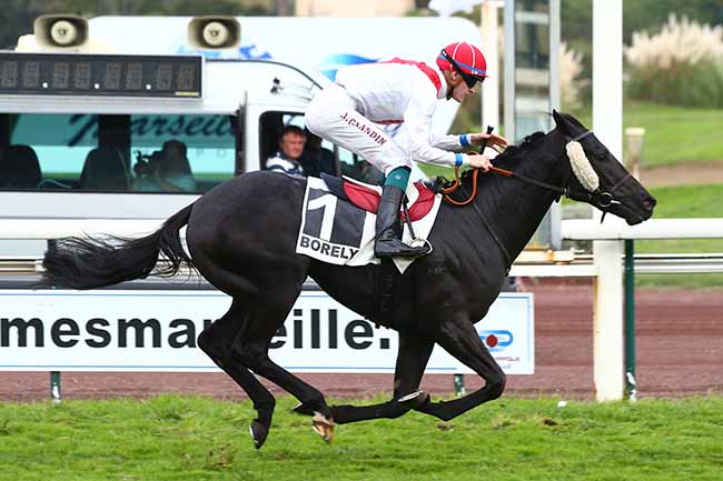 Photo d'arrivée de la course pmu PRIX DE BONNEVEINE à MARSEILLE-BORELY le Lundi 28 octobre 2019
