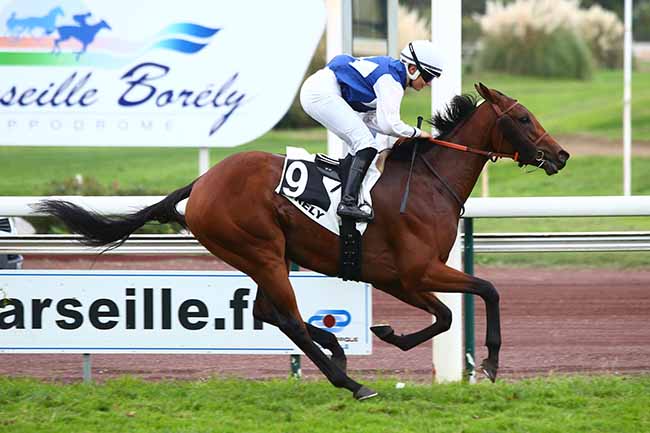 Photo d'arrivée de la course pmu PRIX DE MANOSQUE à MARSEILLE-BORELY le Lundi 28 octobre 2019