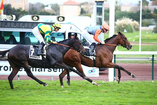 Photo d'arrivée de la course pmu PRIX DES SOCIETAIRES à MARSEILLE-BORELY le Lundi 28 octobre 2019