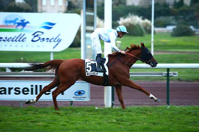 Photo d'arrivée de la course pmu PRIX SABY ZARAYA à MARSEILLE-BORELY le Lundi 28 octobre 2019