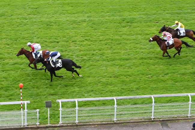 Photo d'arrivée de la course pmu PRIX MIESQUE à MAISONS-LAFFITTE le Mardi 29 octobre 2019