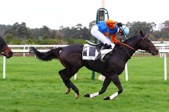 Photo d'arrivée de la course pmu PRIX GERARD DE MARISY à FONTAINEBLEAU le Mardi 29 octobre 2019