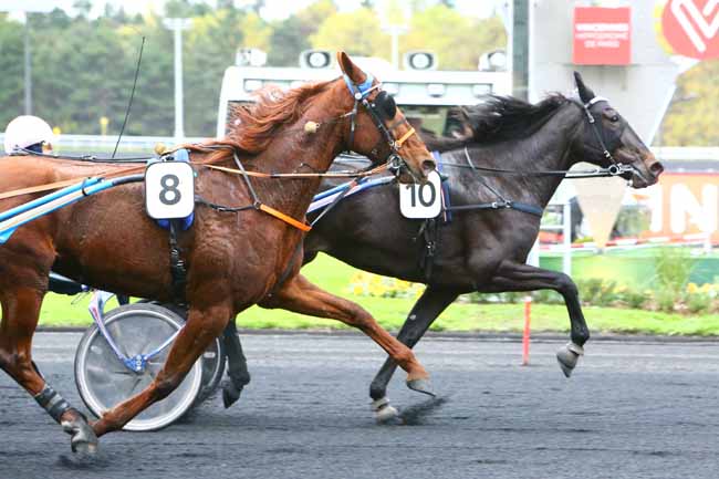 Photo d'arrivée de la course pmu PRIX ELSA à PARIS-VINCENNES le Mardi 29 octobre 2019