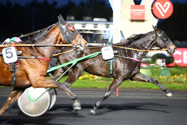 Photo d'arrivée de la course pmu PRIX IRMA à PARIS-VINCENNES le Mardi 29 octobre 2019