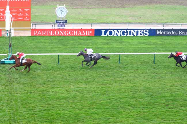 Photo d'arrivée de la course pmu PRIX DE LA MASSELIERE à LONGCHAMP le Jeudi 31 octobre 2019