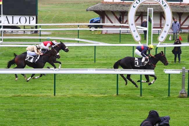 Photo d'arrivée de la course pmu PRIX KERLOR à COMPIEGNE le Vendredi 1 novembre 2019