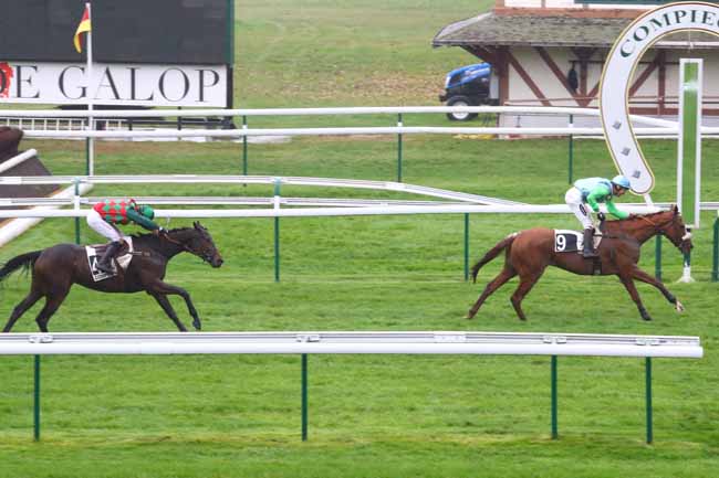 Photo d'arrivée de la course pmu PRIX CEREALISTE à COMPIEGNE le Vendredi 1 novembre 2019