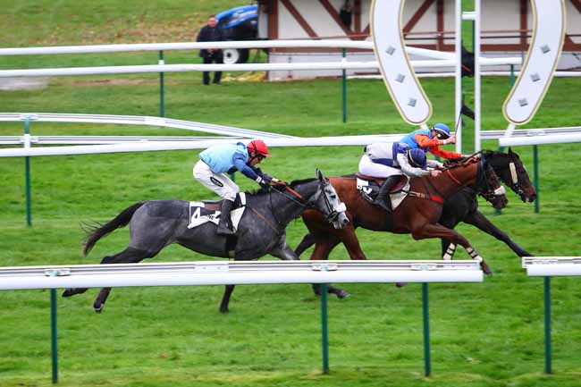 Photo d'arrivée de la course pmu PRIX CERILLY à COMPIEGNE le Vendredi 1 novembre 2019