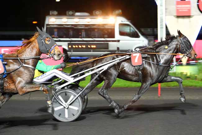 Photo d'arrivée de la course pmu PRIX AURORA à PARIS-VINCENNES le Vendredi 1 novembre 2019