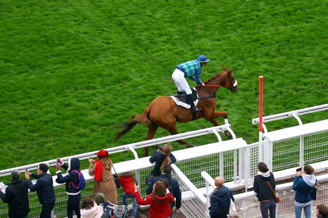 Photo d'arrivée de la course pmu GRAND PRIX D'AUTOMNE à AUTEUIL le Samedi 2 novembre 2019