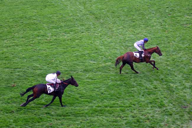 Photo d'arrivée de la course pmu PRIX BERNARD SECLY à AUTEUIL le Dimanche 3 novembre 2019