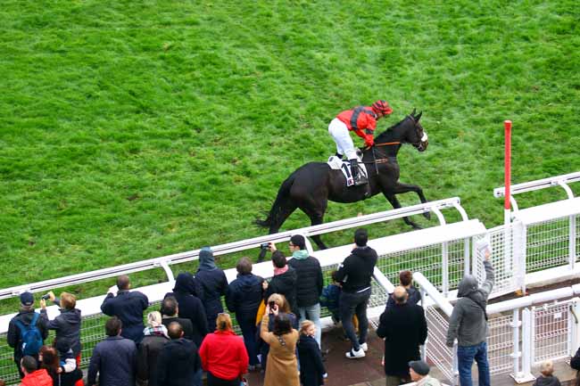 Photo d'arrivée de la course pmu PRIX COUNT SCHOMBERG à AUTEUIL le Dimanche 3 novembre 2019