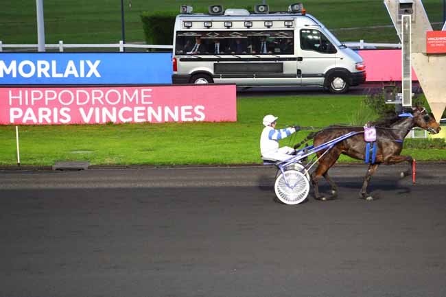 Photo d'arrivée de la course pmu PRIX DE MORLAIX à PARIS-VINCENNES le Lundi 4 novembre 2019