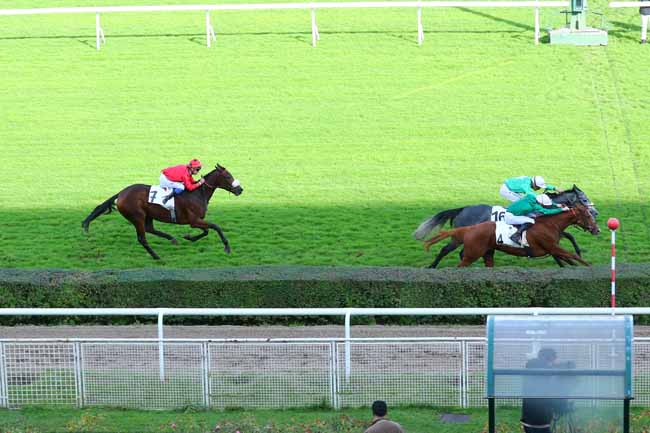 Photo d'arrivée de la course pmu PRIX DE L'ELEVAGE à SAINT-CLOUD le Mardi 5 novembre 2019