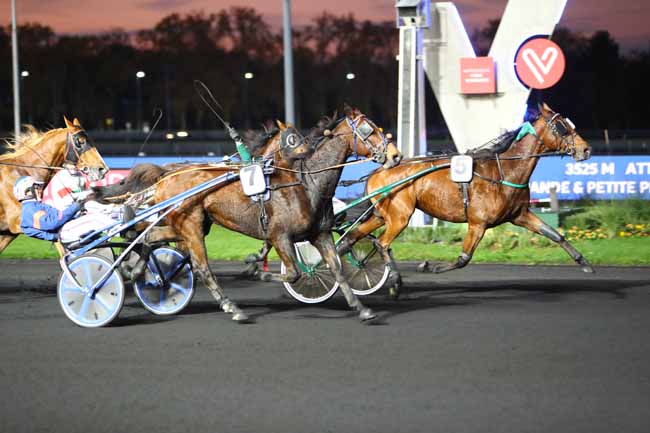 Photo d'arrivée de la course pmu PRIX MEDUSA à PARIS-VINCENNES le Mardi 5 novembre 2019