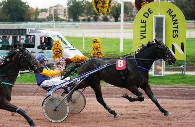 Photo d'arrivée de la course pmu PRIX WWW.HIPPODROME-NANTES.FR à NANTES le Mercredi 6 novembre 2019