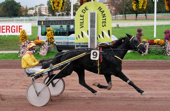 Photo d'arrivée de la course pmu PRIX ONIRIS NANTES - GRAND PRIX DES 5 ANS à NANTES le Mercredi 6 novembre 2019